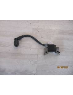 Bobina despiece Suzuki DF2,5 4 tiempos 2