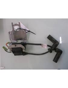 Bobine hors-bord yamaha f8bmb 8cv 4t