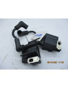 Bobinas despiece Evinrude BE6RESR 6 cv 2 tiempos