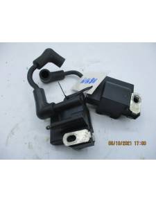Bobine esplose Evinrude BE6RESR 6 hp 2 tempi