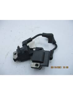 Bobinas despiece Evinrude BE6RESR 6 cv 2 tiempos 2