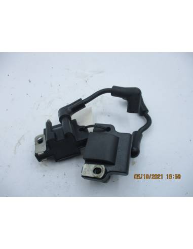 Vue éclatée bobines Evinrude BE6RESR 6 cv 2 temps