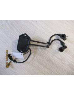 CDI slices Suzuki DT4 4cv two strokes