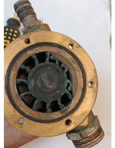 JMP Pump salt water