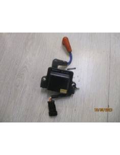 Bobina despiece Evinrude 25 cv ETCH 2 tiempos inyeccion 2