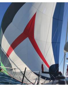 Momentum Genaker  Slu 10.66mts Pie 5.37mts