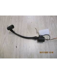 Coil schneidet Mercury 2,5 PS 2 Takt