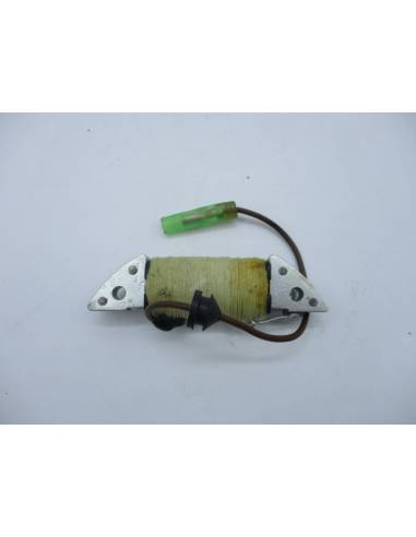 Bobine moteur YAMAHA / GOII 2 cv 2 t