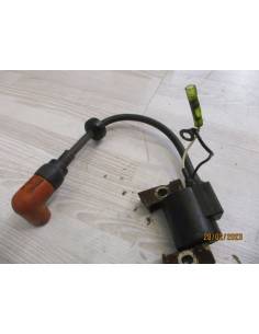Exploded coil Yamaha F4B 4cv 4 times