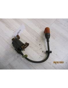 Exploded coil Yamaha F4B 4cv 4 times 2