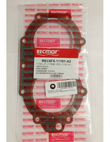 Résistant à la corrosion YAMAHA 6F5-11181-A1 et...