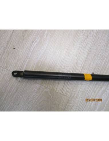 Braccio portello pistone 250n stabilus l50cm