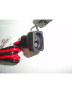 Extension cable with ICP 21a outlet connection