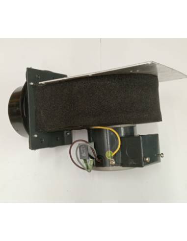 Dayton extract model MG0822028172010 203V