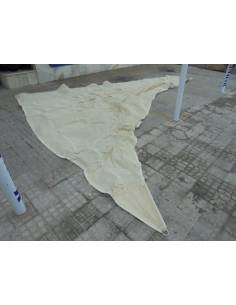 Toldo sol 5 x 4 mts aprox.