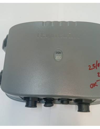 Raymarine modulo sonda DSM300