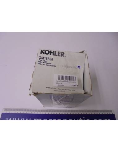 Kohler gm18808 Kraftstofffilter