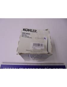 Kohler gm18808 Kraftstofffilter