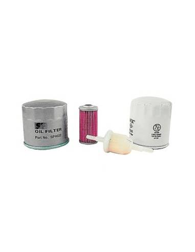 Filter Renault Carbide