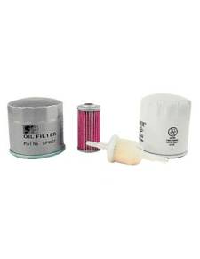 Filtro Carburante Renault