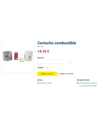 Filter Renault Carbide