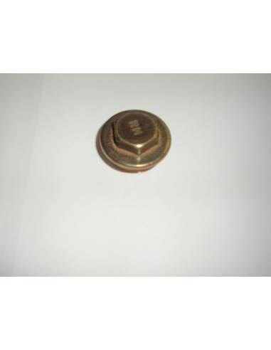 Brass plug 3/4 outlet thread