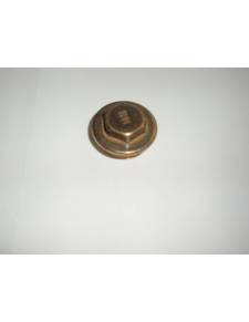 Brass plug 3/4 outlet thread