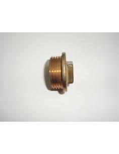 Bouchon laiton filetage 1' sortie