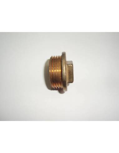 Brass cap thread 1 ' outlet