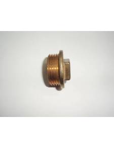 Brass cap thread 1 ' outlet