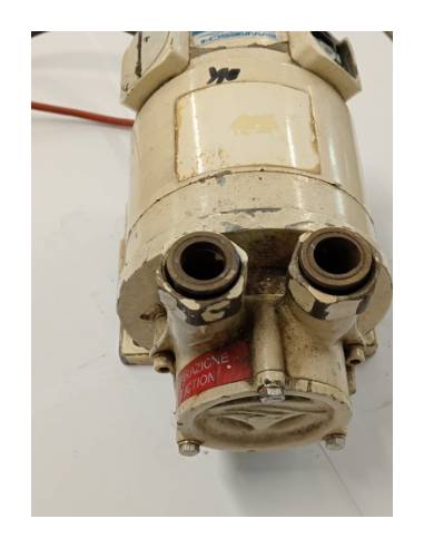 Gianneschi 24V