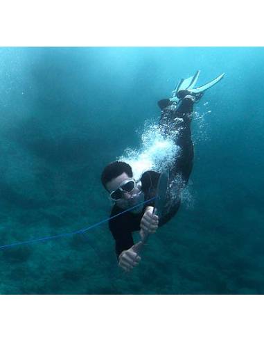 Delfinia tabla submarina water sport buceo
