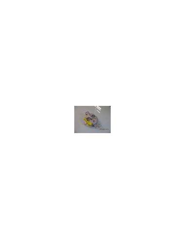 Base quemador cocina mediano outlet