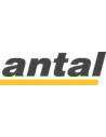 Antal